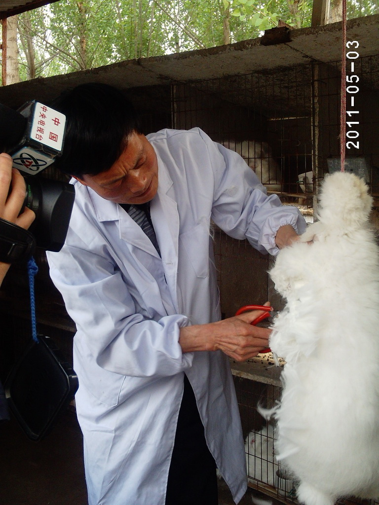 CCTV-7來我場拍攝吊掛式剪毛